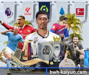 开云体育 APP - kaiyun sports